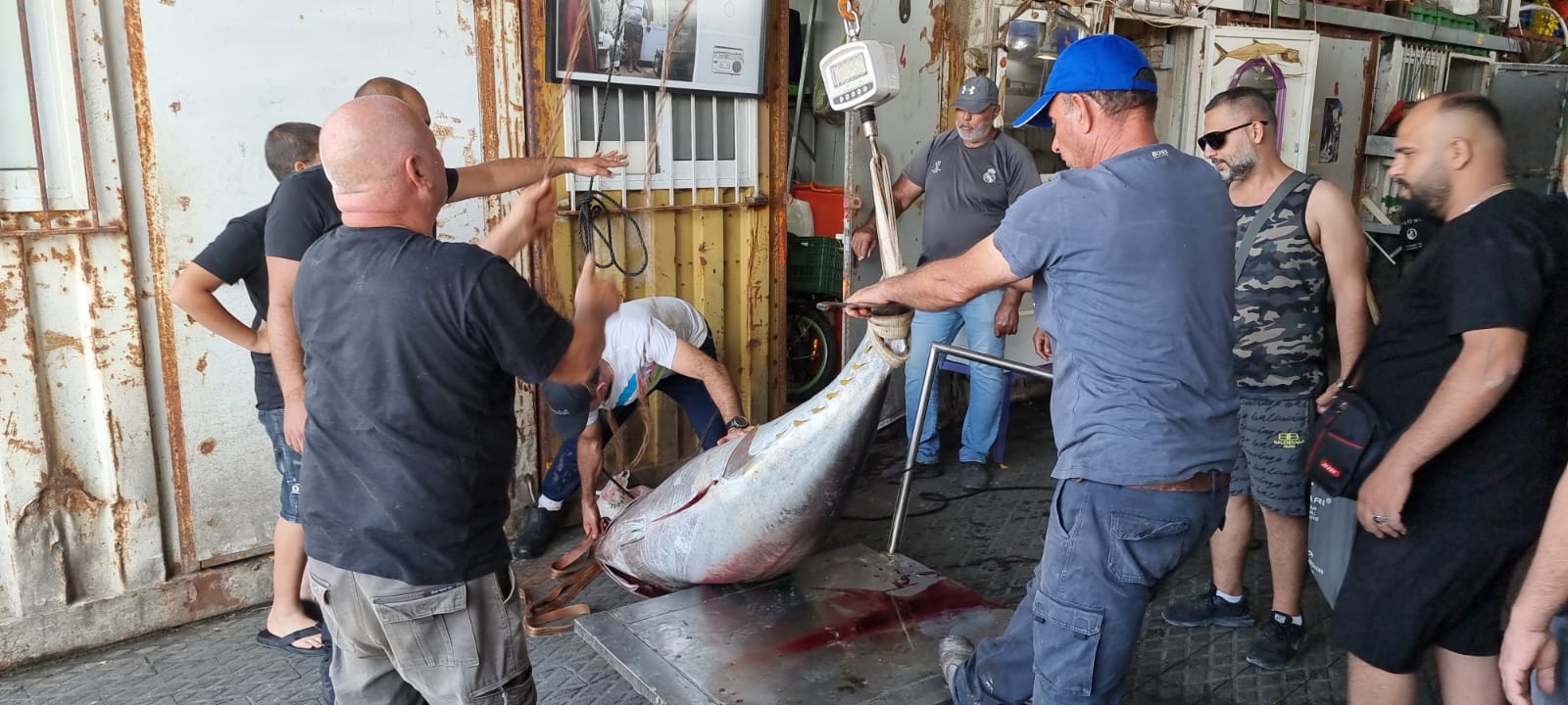 WhatsApp Image 2022-05-25 at 4.39.01 PM.jpeg